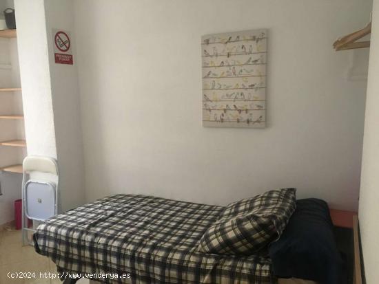 Se alquila habitación, apartamento de 6 dormitorios, Ciutat Vella, Valencia - VALENCIA