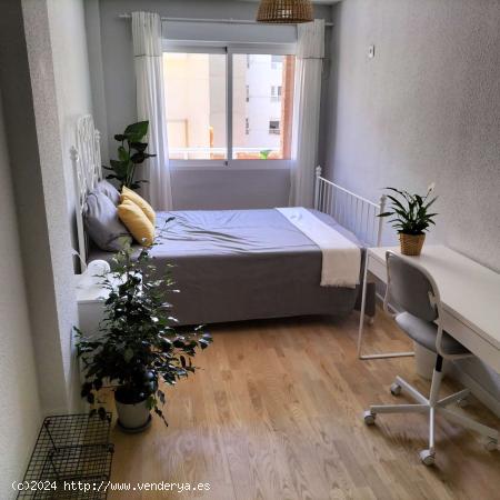  Se alquilan habitaciones para mujeres en apartamento de 4 habitaciones en Mercado - ALICANTE 