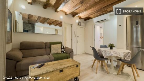 Apartamento entero de 1 dormitorio en Barcelona - BARCELONA