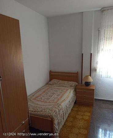  Se alquila habitación en piso de 3 dormitorios en Alicante - ALICANTE 