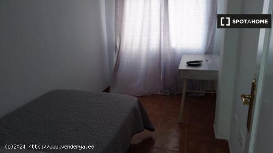 Alquiler de habitaciones para estudiantes en piso de 3 habitaciones en El Zapillo - ALMERIA