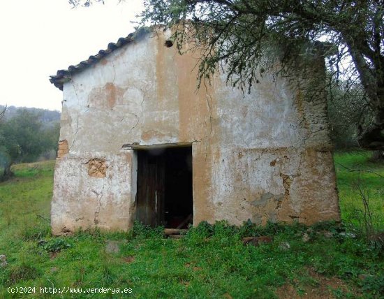 SE VENDE FINCA RUSTICA EN VENTA EN VALDELARCO (HUELVA) ESPAÑA. - Valdelarco