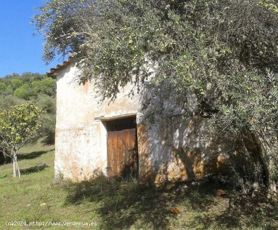 SE VENDE FINCA RUSTICA EN VENTA EN VALDELARCO (HUELVA) ESPAÑA. - Valdelarco