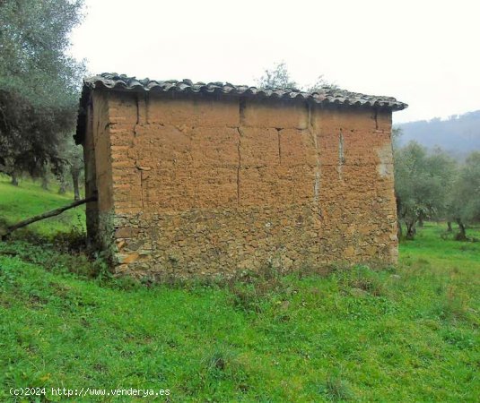 SE VENDE FINCA RUSTICA EN VENTA EN VALDELARCO (HUELVA) ESPAÑA. - Valdelarco