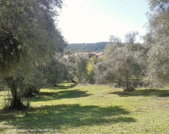 SE VENDE FINCA RUSTICA EN VENTA EN VALDELARCO (HUELVA) ESPAÑA. - Valdelarco