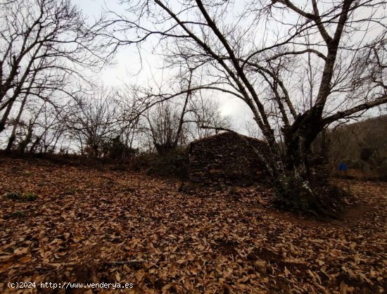  SE VENDE FINCA RUSTICA AGRICOLA EN VENTA EN EL CASTAÑO DEL ROBLEDO (HUELVA) ESPAÑA. - Cast 