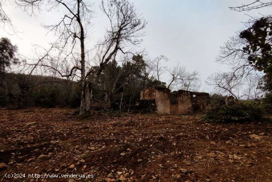 SE VENDE FINCA RUSTICA-AGRÍCOLA EN VENTA EN EL CASTAÑO DEL ROBLEDO (HUELVA) ESPAÑA. -