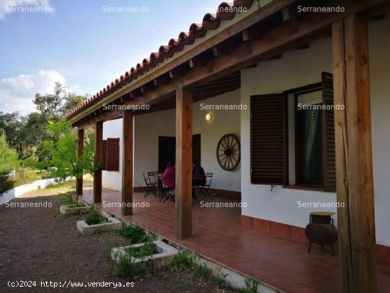  SE VENDE FINCA EN VENTA EN VALDELARCO (HUELVA) ESPAÑA. - Valdelarco 