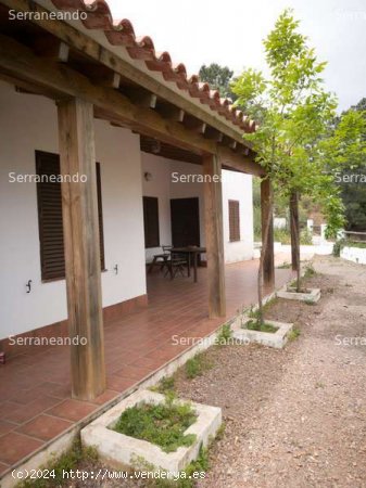 SE VENDE FINCA EN VENTA EN VALDELARCO (HUELVA) ESPAÑA. - Valdelarco