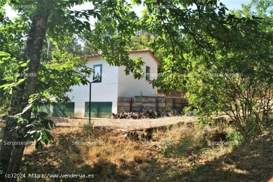  SE VENDE FINCA RUSTICA EN VENTA EN GALAROZA (HUELVA) ESPAÑA. - Galaroza 