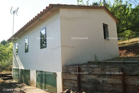 SE VENDE FINCA RUSTICA EN VENTA EN GALAROZA (HUELVA) ESPAÑA. - Galaroza