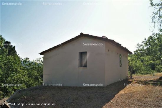 SE VENDE FINCA RUSTICA EN VENTA EN GALAROZA (HUELVA) ESPAÑA. - Galaroza