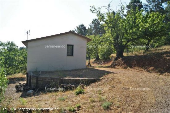 SE VENDE FINCA RUSTICA EN VENTA EN GALAROZA (HUELVA) ESPAÑA. - Galaroza