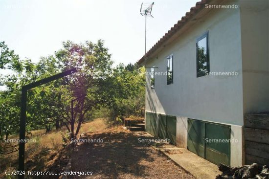 SE VENDE FINCA RUSTICA EN VENTA EN GALAROZA (HUELVA) ESPAÑA. - Galaroza