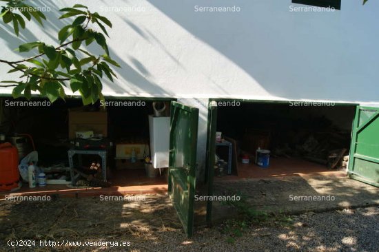 SE VENDE FINCA RUSTICA EN VENTA EN GALAROZA (HUELVA) ESPAÑA. - Galaroza