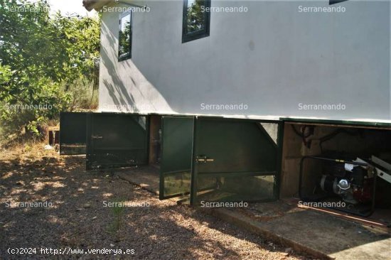 SE VENDE FINCA RUSTICA EN VENTA EN GALAROZA (HUELVA) ESPAÑA. - Galaroza