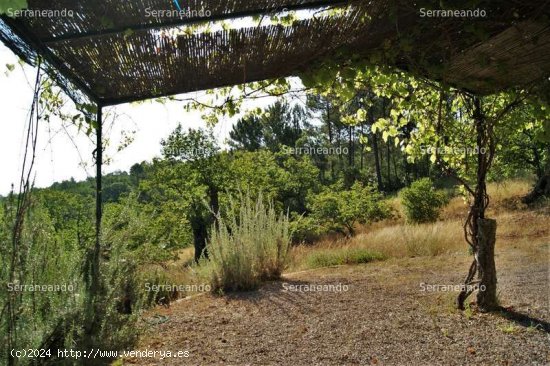 SE VENDE FINCA RUSTICA EN VENTA EN GALAROZA (HUELVA) ESPAÑA. - Galaroza