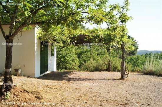 SE VENDE FINCA RUSTICA EN VENTA EN GALAROZA (HUELVA) ESPAÑA. - Galaroza