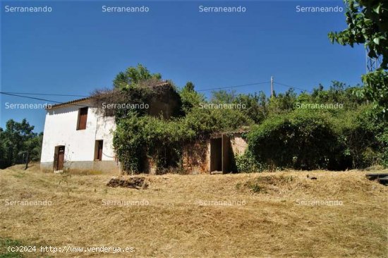  SE VENDE FINCA RUSTICA EN VENTA EN FUENTEHERIDOS (HUELVA) ESPAÑA. - Fuenteheridos 