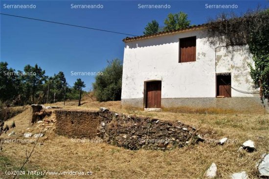 SE VENDE FINCA RUSTICA EN VENTA EN FUENTEHERIDOS (HUELVA) ESPAÑA. - Fuenteheridos