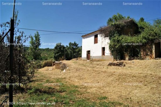 SE VENDE FINCA RUSTICA EN VENTA EN FUENTEHERIDOS (HUELVA) ESPAÑA. - Fuenteheridos