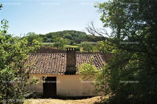 SE VENDE FINCA RUSTICA EN VENTA EN FUENTEHERIDOS (HUELVA) ESPAÑA. - Fuenteheridos