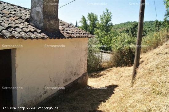 SE VENDE FINCA RUSTICA EN VENTA EN FUENTEHERIDOS (HUELVA) ESPAÑA. - Fuenteheridos