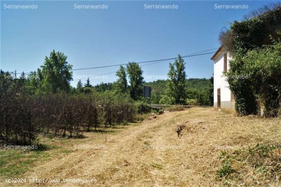 SE VENDE FINCA RUSTICA EN VENTA EN FUENTEHERIDOS (HUELVA) ESPAÑA. - Fuenteheridos