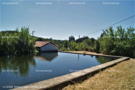 SE VENDE FINCA RUSTICA EN VENTA EN FUENTEHERIDOS (HUELVA) ESPAÑA. - Fuenteheridos