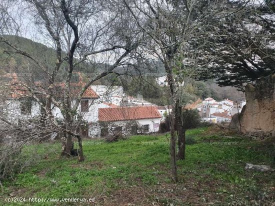 SE VENDE TERRENO URBANO EN VENTA EN GALAROZA (HUELVA) ESPAÑA. - Galaroza