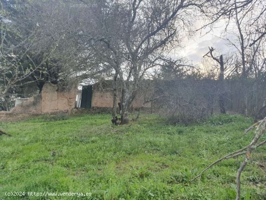 SE VENDE TERRENO URBANO EN VENTA EN GALAROZA (HUELVA) ESPAÑA. - Galaroza