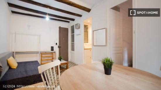 Apartamento entero de 1 dormitorio en Barcelona - BARCELONA