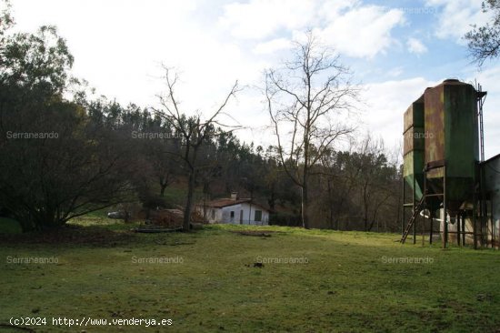 SE VENDE PARCELA EN VENTA EN GALAROZA (HUELVA) ESPAÑA. - Galaroza