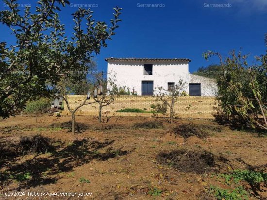  SE VENDE FINCA EN VENTA EN GALAROZA (HUELVA) ESPAÑA. - Galaroza 