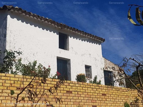 SE VENDE FINCA EN VENTA EN GALAROZA (HUELVA) ESPAÑA. - Galaroza