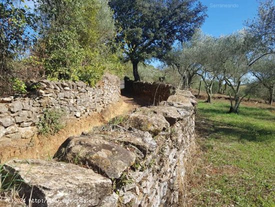 SE VENDE FINCA EN VENTA EN GALAROZA (HUELVA) ESPAÑA. - Galaroza