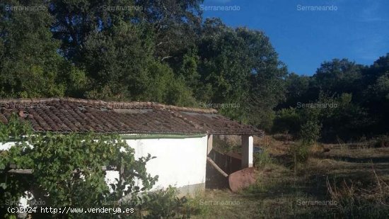  SE VENDE FINCA RUSTICA EN VENTA EN JABUGO (HUELVA) ESPAÑA. - Jabugo 