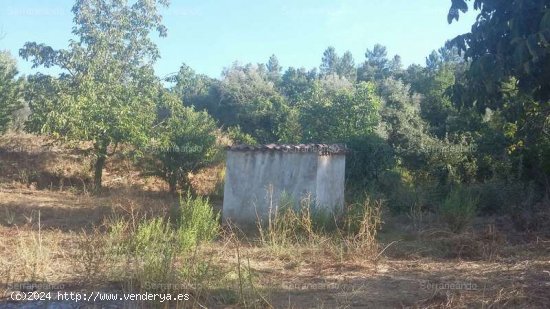 SE VENDE FINCA RUSTICA EN VENTA EN JABUGO (HUELVA) ESPAÑA. - Jabugo