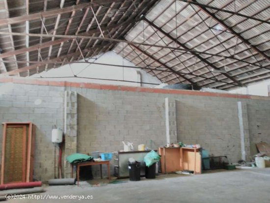 Nave industrial en Venta en Pego - Pego