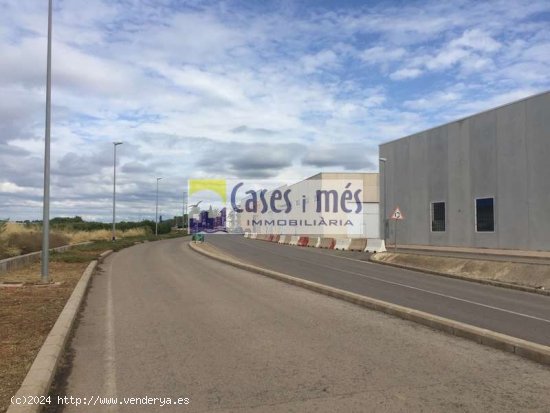 SE VENDE SUELO INDUSTRIAL TERCIARIO - Rafelbunyol