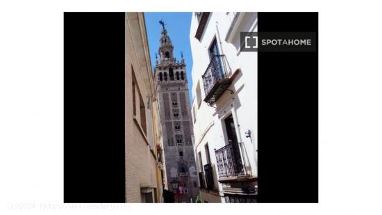 Piso exterior de 1 dormitorio en alquiler en el centro histórico de Sevilla - SEVILLA