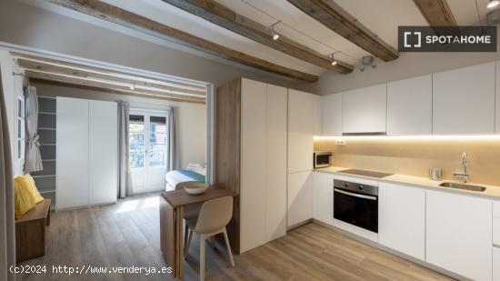 Apartamento de 1 dormitorio en alquiler en El Barri Gotic, Barcelona - BARCELONA