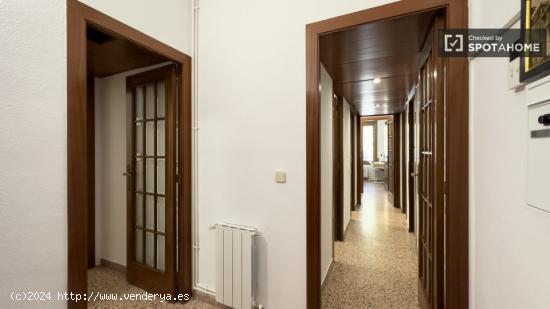 Se alquila habitación en piso de 5 dormitorios en Eixample - BARCELONA