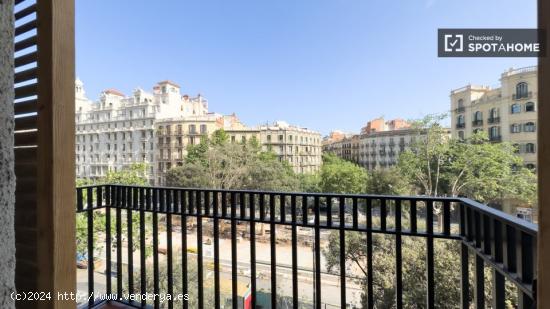 Se alquila habitación en piso de 8 habitaciones en Barcelona - BARCELONA