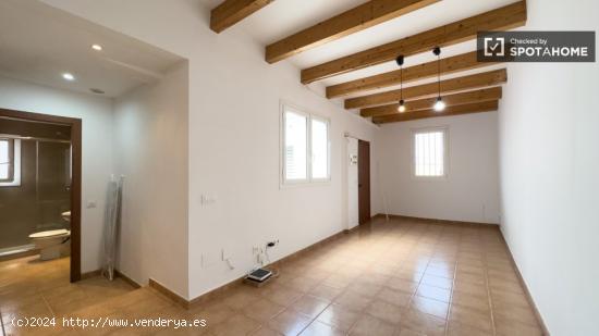 Apartamento de 3 dormitorios en alquiler en El Raval - BARCELONA