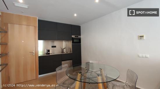 Apartamento entero de 1 dormitorio en Barcelona - BARCELONA