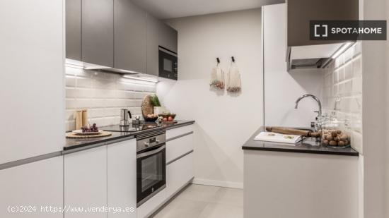 Apartamento de 1 dormitorio en alquiler en Trafalgar - MADRID