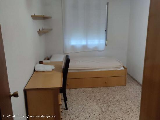  Se alquila habitación en piso de 3 dormitorios en Alicante - ALICANTE 