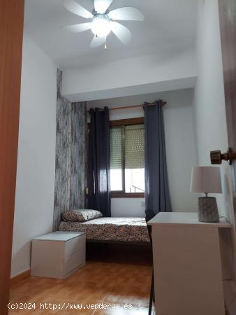  Habitación en piso compartido en Alacant - ALICANTE 