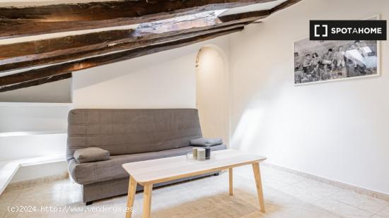 Apartamento de 1 dormitorio en alquiler en La Latina - MADRID